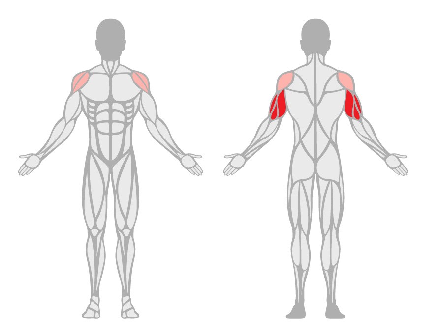 Kick-back med hantel.
